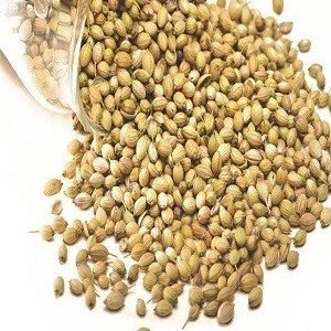 Coriander/Dhania Seeds, 200 gm Pouch